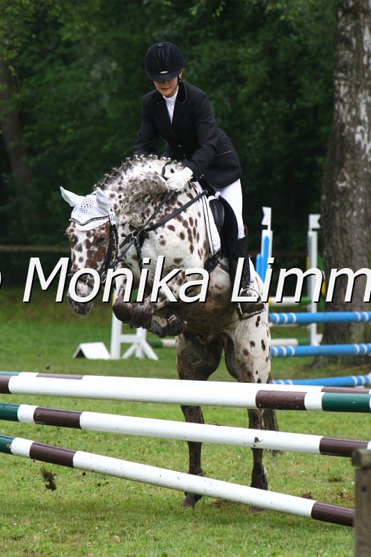 007M7680_Spring WB_E.JPG